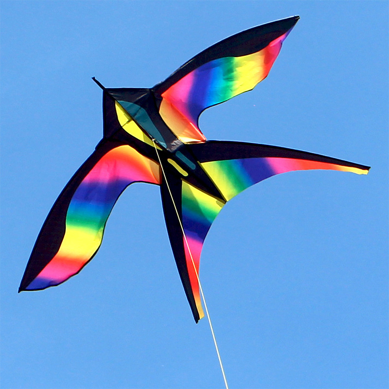 Kite Easy Fly Kids - 1,7 м легко летать красочная Радуга