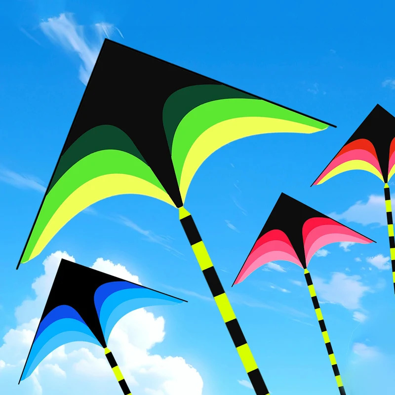 Взрослый Легко летать Большой  – обзор и цена Kite Easy Fly Kids