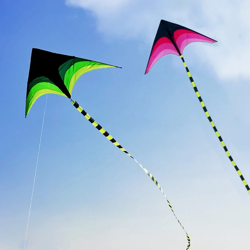 Взрослый Легко летать Большой  – обзор и цена Kite Easy Fly Kids