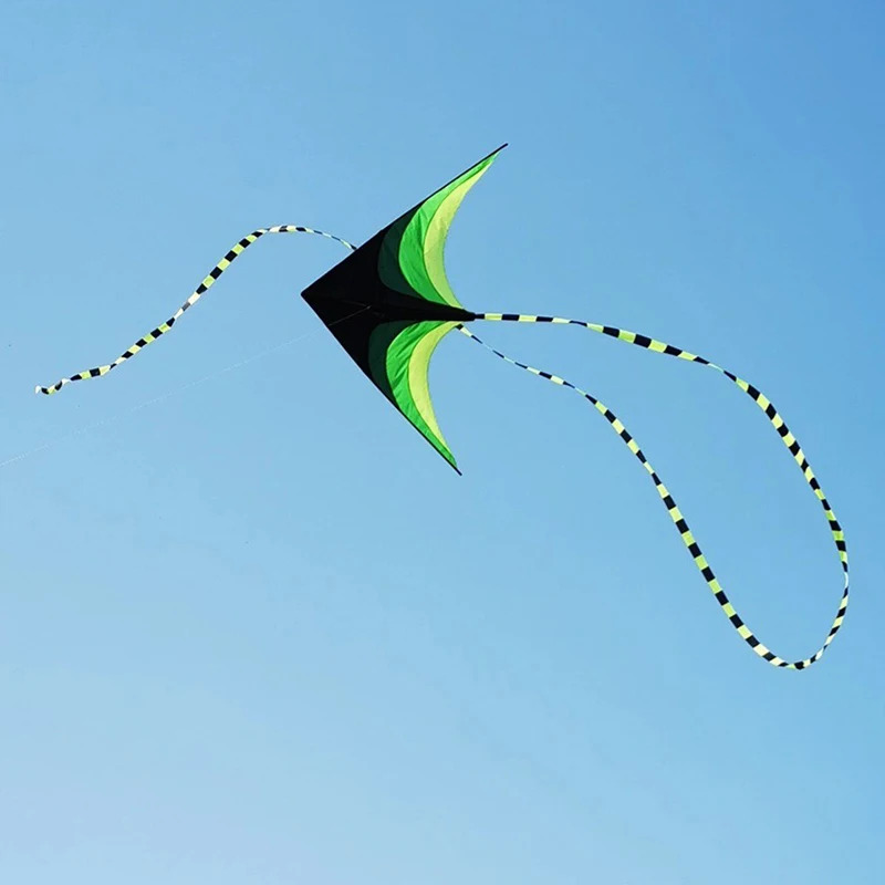 Взрослый Легко летать Большой  – обзор и цена Kite Easy Fly Kids