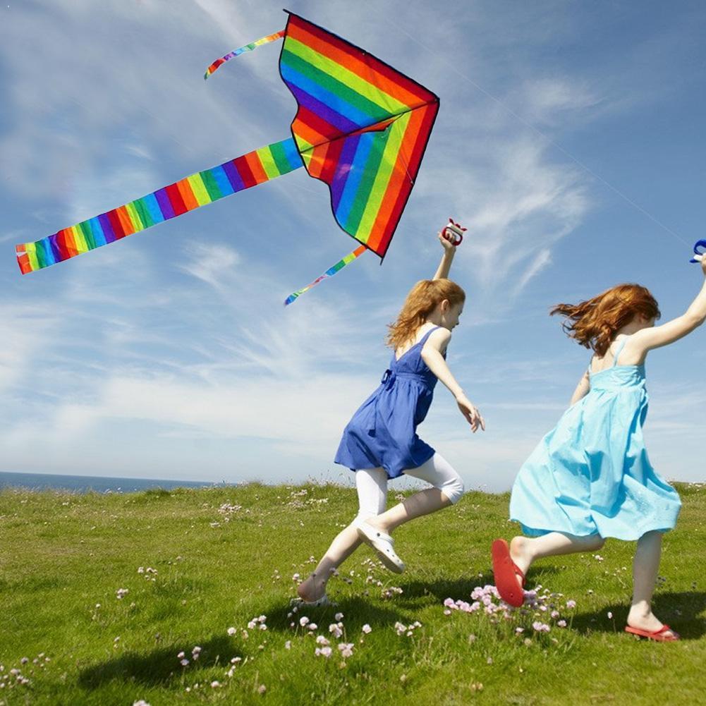 Легко летать! Большой красочны – обзор и цена Kite Easy Fly Kids