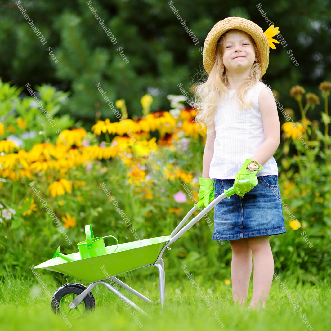 Детская уличная тачка, зеленый – обзор и цена Kids Outdoor Activity Toys