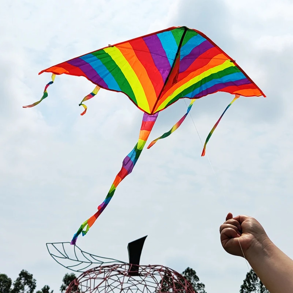 Новый дизайн, Радужный воздушн – обзор и цена Kite Easy Fly Kids