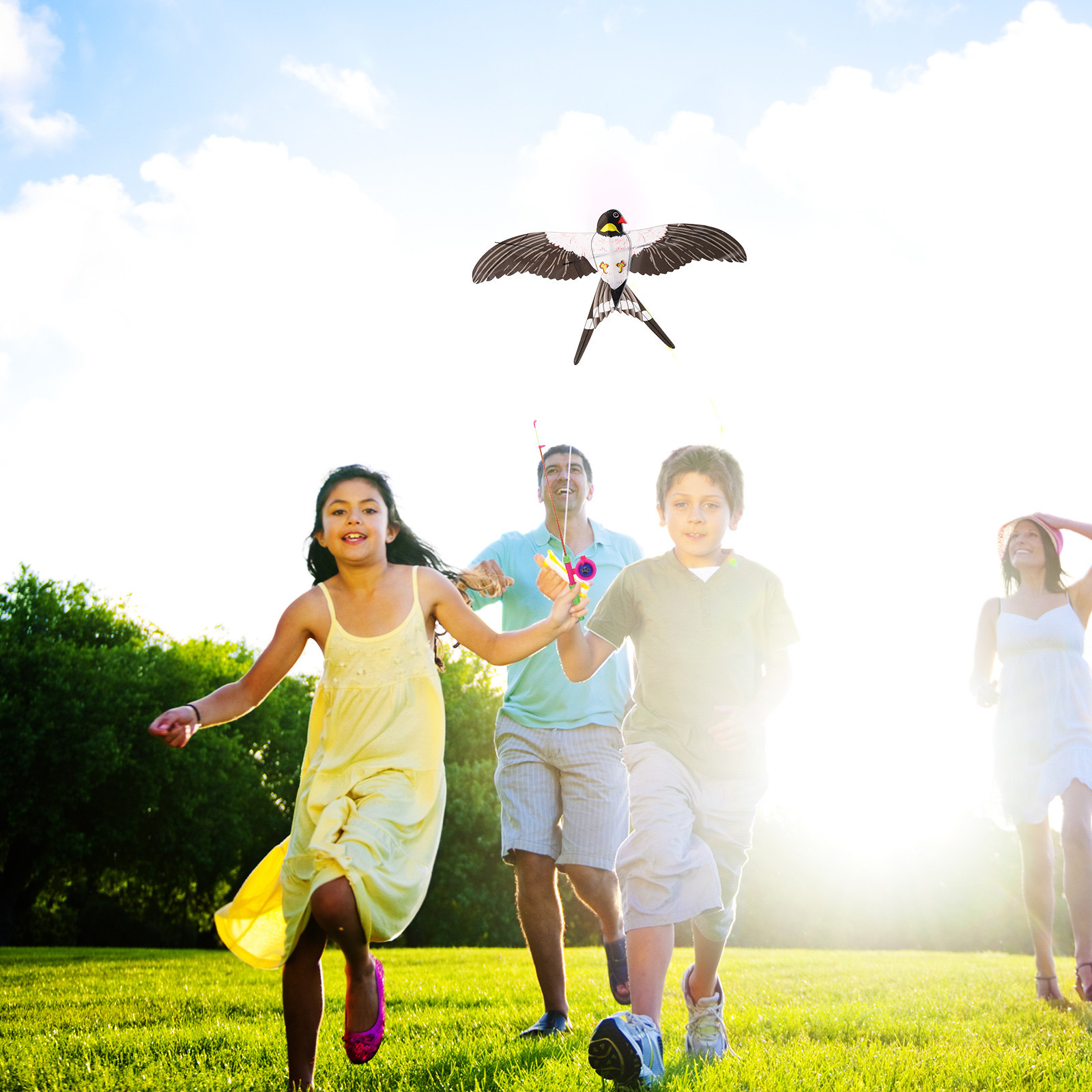 Легкий в управлении воздушный  – обзор и цена Kite Easy Fly Kids